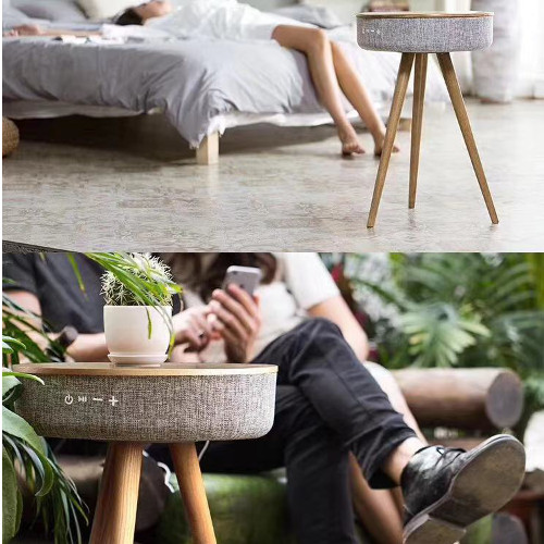 Speaker Cum Wireless Charger