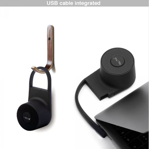 Wireless Outdoor Speaker