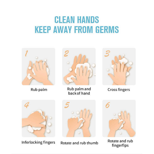 hand sanitizer instruction