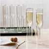 Double Wall Champagne Glass singapore wholesaler visual 2