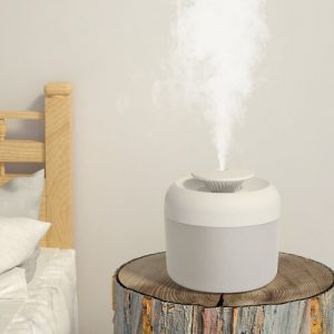 Why Every Home in Singapore Needs a Humidifier? 6 custom humidifier