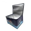 Custom Made Portable Insulated Cooler Bag Custom Made Portable Insulated Cooler Bag