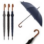 Singapore Custom Logo Wooden Long Handle Corporate Umbrella-Main Feature