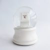 Custom Snow Globe Picture 4