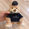 Custom Teddy Bear Soft Toy- Picture 3 Custom Teddy Bear Soft Toy Picture 3
