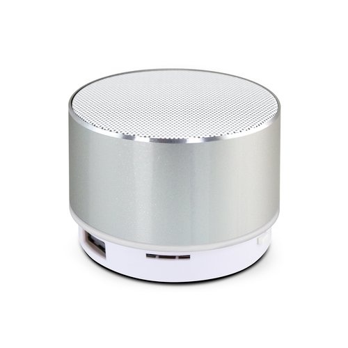 Custom Oracle Bluetooth Speaker Singapore AQ2402TR