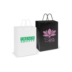 Large Laminated Paper Carry Bag – Rope Handles