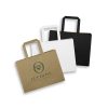 aq2533tr-1.jpg Medium Landscape Paper Bag – Flat Paper Handles