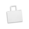 aq2533tr-3.jpg Medium Landscape Paper Bag – Flat Paper Handles