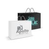 Extra Large Laminated Paper Carry Bag – Rope Handles