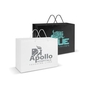 Extra Large Laminated Paper Carry Bag – Rope Handles