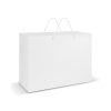 Extra Large Laminated Paper Carry Bag – Rope Handles