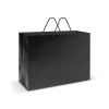 Extra Large Laminated Paper Carry Bag – Rope Handles