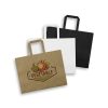 aq2552tr-0.jpg Large Landscape Paper Bag – Flat Paper Handles