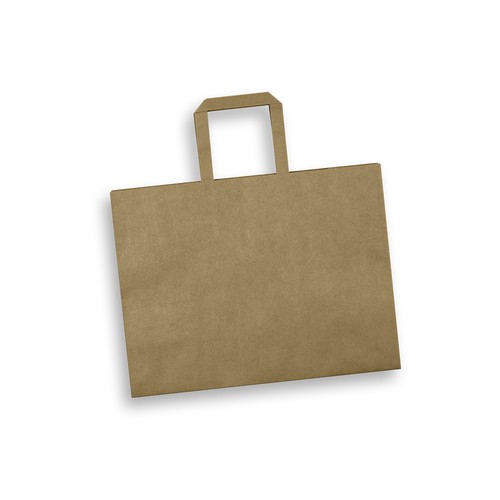 aq2552tr-1.jpg Large Landscape Paper Bag – Flat Paper Handles