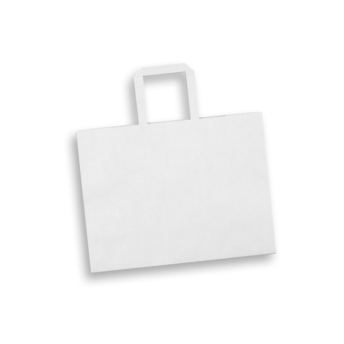 aq2552tr-2.jpg Large Landscape Paper Bag – Flat Paper Handles
