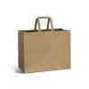 aq2552tr-4.jpg Large Landscape Paper Bag – Flat Paper Handles