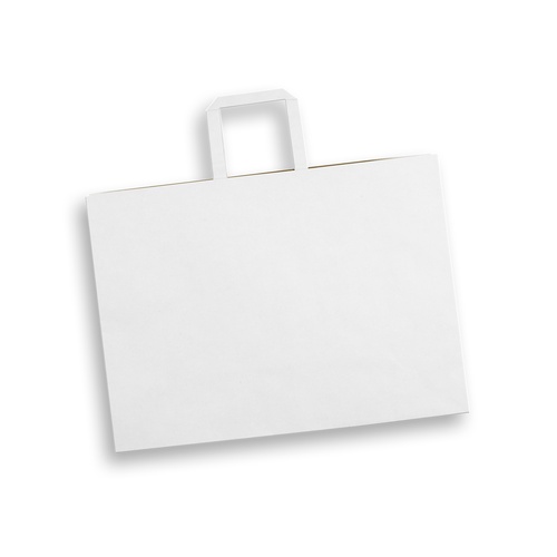 aq2554tr-3.jpg Extra Large Landscape Paper Bag – Flat Paper Handles