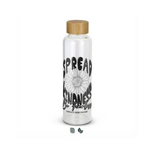 Borosilicate Glass Water Bottle 600ml – Bamboo Lid