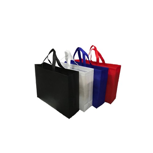 Landscape Non-Woven Bag - corporate gift Singapore