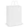 Large Laminated Carry Bag Singapore 1 Large Laminated Carry Bag Singapore 1