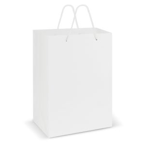 Large Laminated Carry Bag Singapore 1