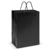 Large Laminated Carry Bag Singapore 2 Large Laminated Carry Bag Singapore 2