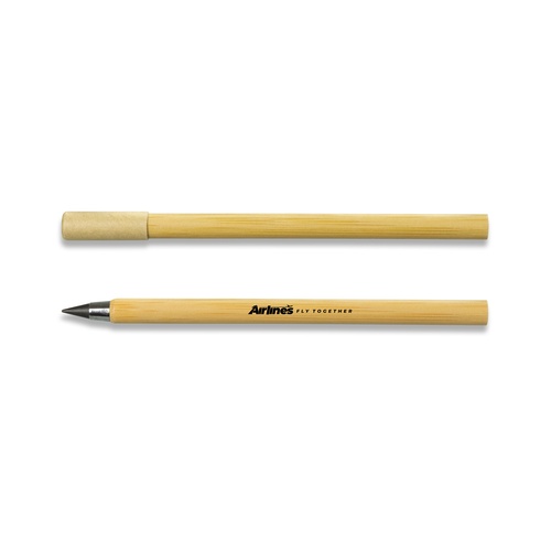 Custom Inkless Pen, Bamboo Barrel with 5,000m Metal Tip 1 Print mock-up showing a logo pad printed along the bamboo barrel of an inkless pen, Singapore